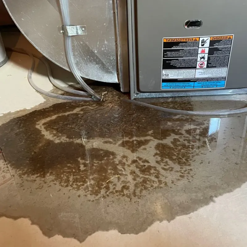 Pipe Burst and Leak Restoration in Richlands, VA